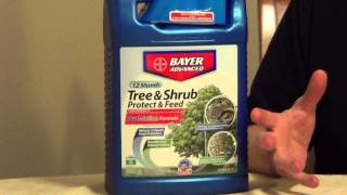 Tree Fertilizer and Insect Control [upl. by Seaman611]