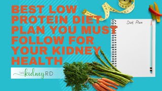 Best Low Protein Diet Plan For Kidney Health  Planned Focused Low Protein Diet Plan For Kidneys [upl. by Yenoh]