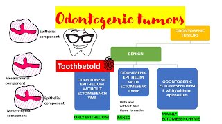 Odontogenic tumors  Overview  Classification [upl. by Jonas]