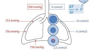 Respi 4 Relación Ventilaciónperfusión VQCirculación pulmonarcausas de hipoxemia parte35 [upl. by Bartie]