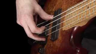 Learn Bass  How to Pluck the Strings [upl. by Werd887]