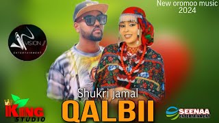 Shukri jamal ● QALBII ●New Ethiopian Oromo Music HD 2024 Official Video [upl. by Hplodnar]