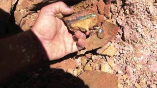 Finding Opals  From Queensland With Love to Sydney [upl. by Smallman]