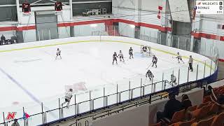 Nepean Wildcats U18AA vs Cornwall Lady Royals 2  Compiled Video [upl. by Kenneth430]