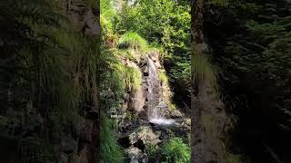 Magical Welsh Forest EryriSnowdonia North Wales  Aug 24 [upl. by Hannon]