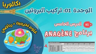 الدرس 5 كيفية قراءة برنامج أناجين 😊أفكار مختلفة للتمارينالتدريب عليه انطلاقا من موضوع بكالوريا😍 [upl. by Avon]