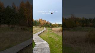 Herfstwandeling in Nationaal Park Hoge Kempen thorpark wandelingen limburg [upl. by Cowey]