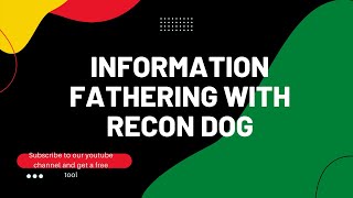 How to gather information using recon dog [upl. by Sekoorb]