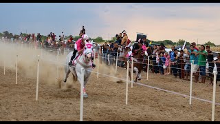 CORRIDA DE CAVALOS  43ª EXPOFERR SHOW 2024  RORAIMA PART 1 [upl. by Enihpad805]