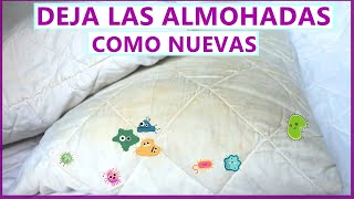 Cómo LAVAR las ALMOHADAS que están AMARILLENTAS [upl. by Anelhtak]