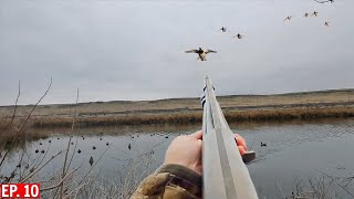 We Got HIT by A Goose  Duck Hunting [upl. by Allerie]