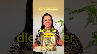 Der Leiter или die Leiter Руководитель или лестница [upl. by Atilek]