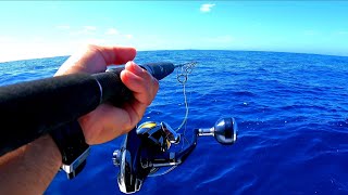 Fishing For One Of My Favourite Fish Rottnest Island Australia [upl. by Edlihtam]