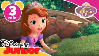 Jej Wysokość Zosia  Księżniczka Jadzia  Oglądaj w Disney Junior [upl. by Zeret]