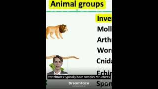 Classifying Animals in 2024 Vertebrates vs Invertebrates  Explained in Detail Generated using AI [upl. by Renat]