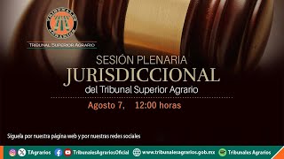 070824  Sesión Plenaria Jurisdiccional [upl. by Rentsch458]