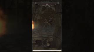 Mage vs draugr skyrim shorts [upl. by Mashe629]