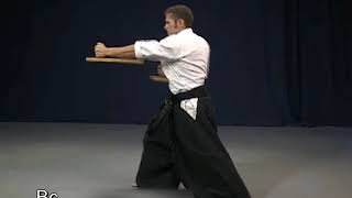 Tonfa ichi no kata Odo nu tonfa ichi kata Kobudo 沖縄古武道 [upl. by Kahaleel]