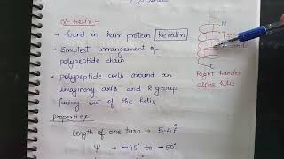 Beta sheet structure of proteins [upl. by Ahsie]