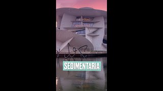 Estos son 3 museos de Qatar que deberías conocer 🇶🇦 shorts shortsvideo short qatar2022 [upl. by Ares173]