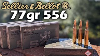 Sellier amp Bellot 77gr 556 HPBT  Ammo Testing [upl. by Rochemont]