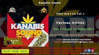 Kanabis Sound  Vibes Dont Lie Vol 1 Dancehall amp HipHop Mixtape 2018 [upl. by Aiuhsoj]