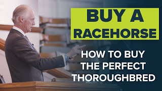 HOW TO BUY THE PERFECT RACEHORSE  ACCESS ALL AREAS WITH DARRYLL HOLLAND AND KIEREN FALLON [upl. by Josephson]