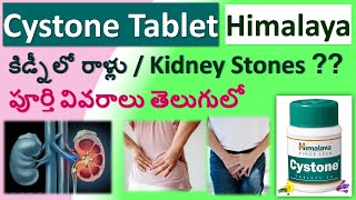 Cystone tablet in Telugu full review  Composition Uses Working Dosage Side effects [upl. by Eciralc]