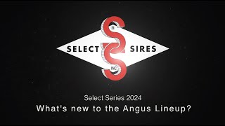 The 2024 Select Series New Angus Sires [upl. by Mitzi]