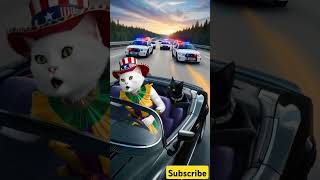 عملةهامستر تعلمصح cat automobile funny catlover animals cute cutecat coin [upl. by Lucia]