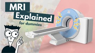 How does an MRI work  MRI basics explained  Animation [upl. by Priest]