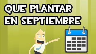 Que SEMBRAR o PLANTAR en SEPTIEMBRE  Calendario de Siembra [upl. by Alexi]