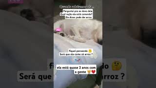 👣🐾 Quando ADOTAMOS QUEREMOS SABER UM pouco SOBRE o PET [upl. by Jenda]