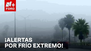 Activan alertas tras temperaturas congelantes en Coahuila Veracruz y Chihuahua  Sábados de N FORO [upl. by Kcirdef]