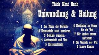 Umwandlung und Heilung  Über Angst Wut und Achtsamkeit  Thich Nhat Hanh [upl. by Ais]