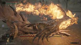 Elden Ring Dragon fights are much better than other Souls games dragon fights😍 [upl. by Ruhtracam64]