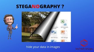 what is steganography   ethical hacking course  hide data in images  100working [upl. by Giglio]