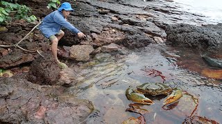 Giant King Crab Catch and Cook At the Beach  Giant Sea Crab Cooking with Big Wave  Wilderness Food [upl. by Webber508]