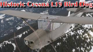 Karl Habsburg v Lothringen Freedom flight Friedensflug Italy Austria in historic Cessna L19 Birddog [upl. by Adnolehs561]