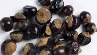 The Health Benefits of Guarana caffeine [upl. by Bust]