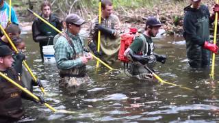 SUNY Cobleskill Electrofishing [upl. by Onirefez]