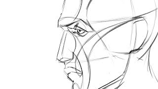 Art Practice 006  Drawing Abstraction of the head Profile [upl. by Yeblehs908]