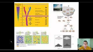 Microevolution [upl. by Daniela]