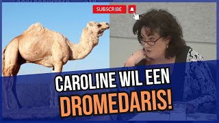 Caroline vd Plas PREEKT Waarom staat de Dromedaris niet op de positief lijst [upl. by Ainuj]