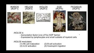 Kentaro Yomogida The transcription factor Aiolos restrains the activation of intestinal [upl. by Erick602]