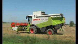 Moisson 2007 en Eure et Loir moissonneuses Claas Lexion 560 amp 570C [upl. by Kerin]