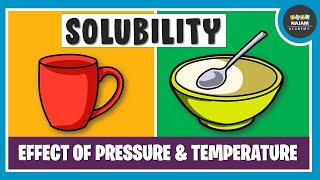 What is Solubility Chemistry [upl. by Nalloh]