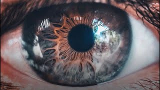 Neuralink Rivals Eye Implant Restores Vision in the Blind [upl. by Wanids]