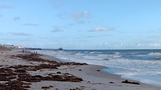 Live Webcam View  Cocoa Beach Pier [upl. by Joane]