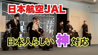 JALらしさ、日本らしさが感じられる搭乗ゲートでのクルーの様子 【IBAAir】 [upl. by Boggers]